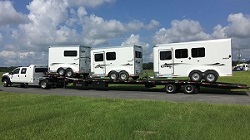 Horse trailer delivery in transit