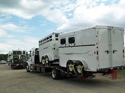 Professional horse trailer transport